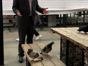 Supporting image for story: Dudley Council under fire for ‘failed’ market revamp 'taken over by pigeons and yobs'