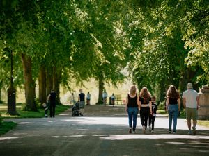 Supporting image for story: Shrewsbury Quarry visitors asked to 'be mindful' of tree works