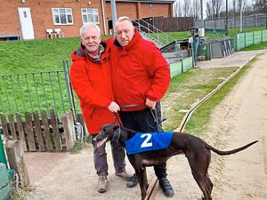 Supporting image for story: Patience pays off for trainer Curtin