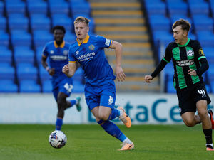 Supporting image for story: Shrewsbury boss Matt Taylor gives update on Southampton loanee Ryan Finnigan's injury comeback