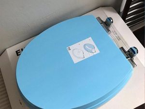 Supporting image for story: This woman realised that her new bright blue Ikea toilet seat was not what it appeared