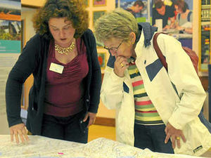 Supporting image for story: Pylons proposal branded vandalism of countryside