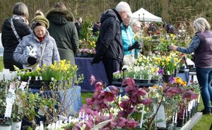 Spring Plant Fair