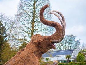 Supporting image for story: Enjoy half price ticks to Ice Age: The Lost Kingdom in Birmingham