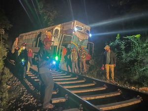 Supporting image for story: Train strikes elephant herd in Sri Lanka, killing six animals