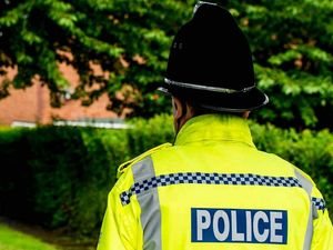 Supporting image for story: 'I'm genuinely apologetic': Woman who attacked police while in mental health crisis tearful in court