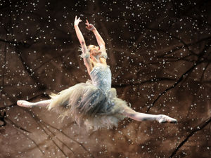 Supporting image for story: Nutcracker quiz: Test your knowledge of the ballet ahead of Birmingham Hippodrome performance