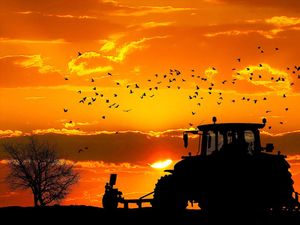 Supporting image for story: Cabinet quizzed on whether £10 million annual sales target will see county farms sold off