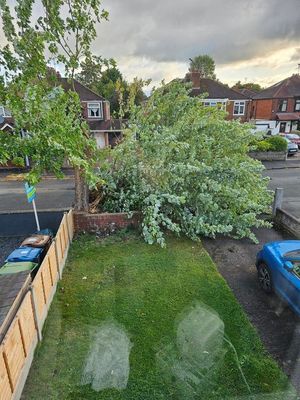 Kieth said the county council were 'deserved the credit' for acting so quickly to remove the tree