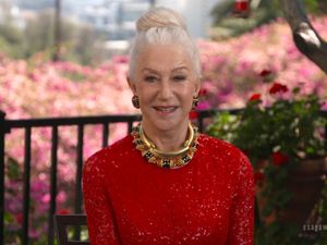 Supporting image for story