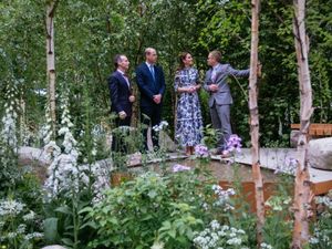 Supporting image for story: Award-winning Chelsea Flower Show garden to be re-built in Stafford