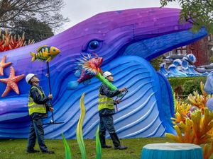 Supporting image for story: Lantern trail at zoo returns for first time in six years with aquatic theme