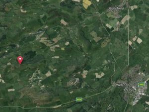 Supporting image for story: Plans for holiday pods near Welshpool given green light