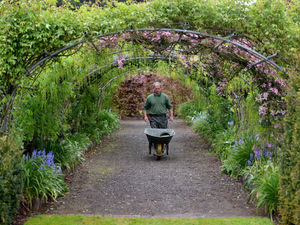 Supporting image for story: Garden tour and three-course meal reveals Shropshire hotel's secrets