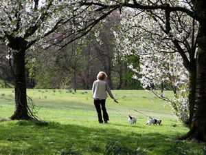 Supporting image for story: Shropshire playing fields dog mess action urged