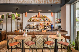 Willow in Sutton Coldfield