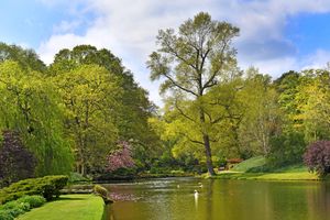 SHROPSHIRE COPYRIGHT NATIONAL WORLD TIM STURGESS 24/04/25.Hodnet Hall gardens, Market Drayton, looking lovely in the weather.