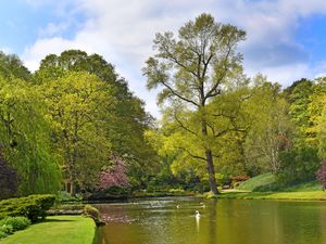 Supporting image for story: One of Shropshire's most beautiful estates is opening up to visitors this weekend - and you're invited - see when you can explore the grounds