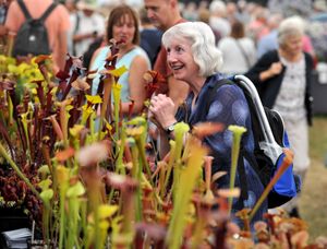 Shrewsbury Flower Show 2018.