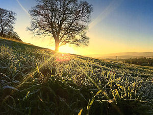 Supporting image for story: Star Witness: Tom captures stunning scene as sun rises over frosty fields near village
