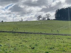 Supporting image for story: Shropshire field being turned into orchard in bid to drive wildlife renewal
