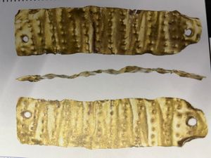 This gold ribbon was found by Ashley Carter in Bucknell, South Shropshire in March 2020