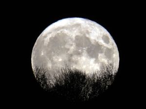 Supporting image for story: Europe must be part of long-term exploration of moon and Mars – ESA