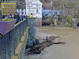Supporting image for story: Pool game must go on at Bridgnorth pub even as River Severn floods