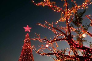 Supporting image for story: Date set for town's Winter Festival