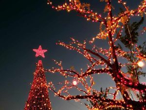 Supporting image for story: Date set for town's Winter Festival