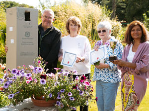Supporting image for story: Civic society crown's village's champion gardens
