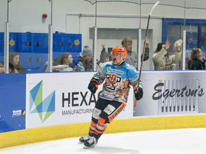 Supporting image for story: Sharp-shooter Vladimir Luka with four as Telford Tigers maul Bees
