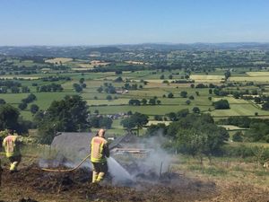 Supporting image for story: Firefighters sent to Rodney's Pillar grass blaze