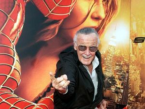 Supporting image for story