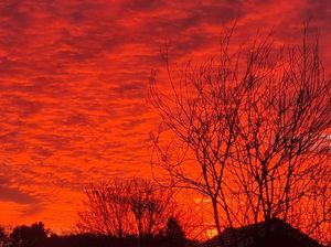 Supporting image for story: Blazing red skies over Shropshire explained