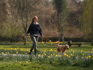 Supporting image for story