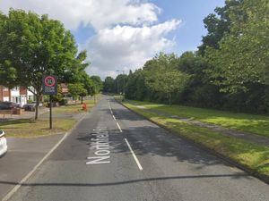 Supporting image for story: Woman arrested and three dogs seized after man wounded in disorder involving armed gang in street