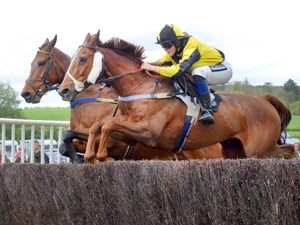 Supporting image for story: GALLERY: Eyton-on-Severn Point to Point