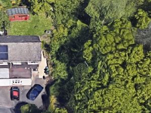 Supporting image for story: Concerns over plans to extend Sedgley home into ancient woodland