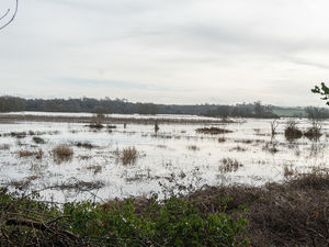 Floods in and around Stafford (photos by Ian Knight / Z70 Photography)
