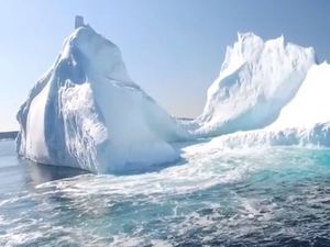 Supporting image for story: Newfoundland, Canada - travel review