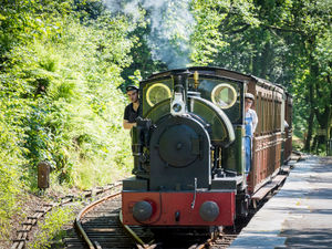 Supporting image for story: Railway celebration events set for September