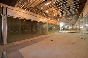 SANDWELL EXPRESS AND STAR STEVE LEATH COPYRIGHT EXPRESS AND STAR 13/03/2015Pics at the new Resorts World, nect to the NEC, Birmingham.  Retail avenues.