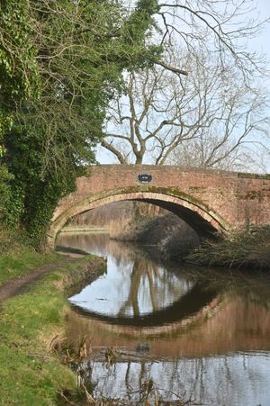 A canal near Falmouth Avenue, Weeping Cross area, Stafford, where initial reports suggest a body may of been found