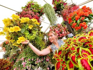 Supporting image for story: Youngsters given chance to assist in Shrewsbury Flower Show train creation