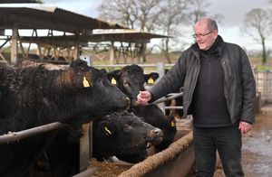 Wyndford Wagyu's farm manager, Rob Edwards