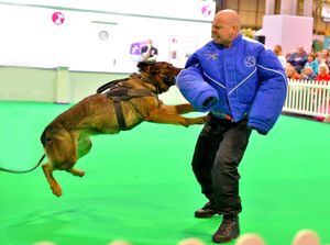 West Midlands Police Dogs were doing a display, in the jacket is Officer: Dave Raymond