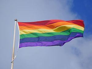 Supporting image for story: Do not let LGBT veterans scheme to ‘become damaged’, 45 MPs urge Healey