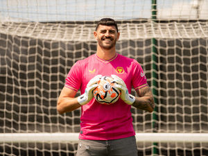 Supporting image for story: Wolves have their own World Record holder 