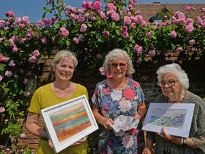 Supporting image for story: Town's art trail nets £3,000 for local charity